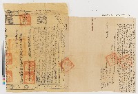 藏品(道光二十年陸瓊瑤、陸瓊瑞向許志炎立賣杜絕盡根店地契（附道光二十一年契尾）)的圖片
